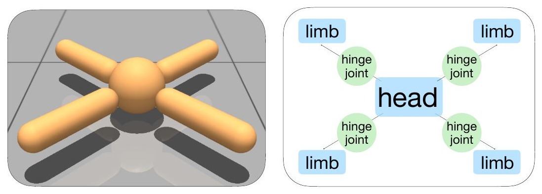A rendered MuJoCo Ant beside the kinematic tree describing it: a head with four hinge joints, each leading to a limb