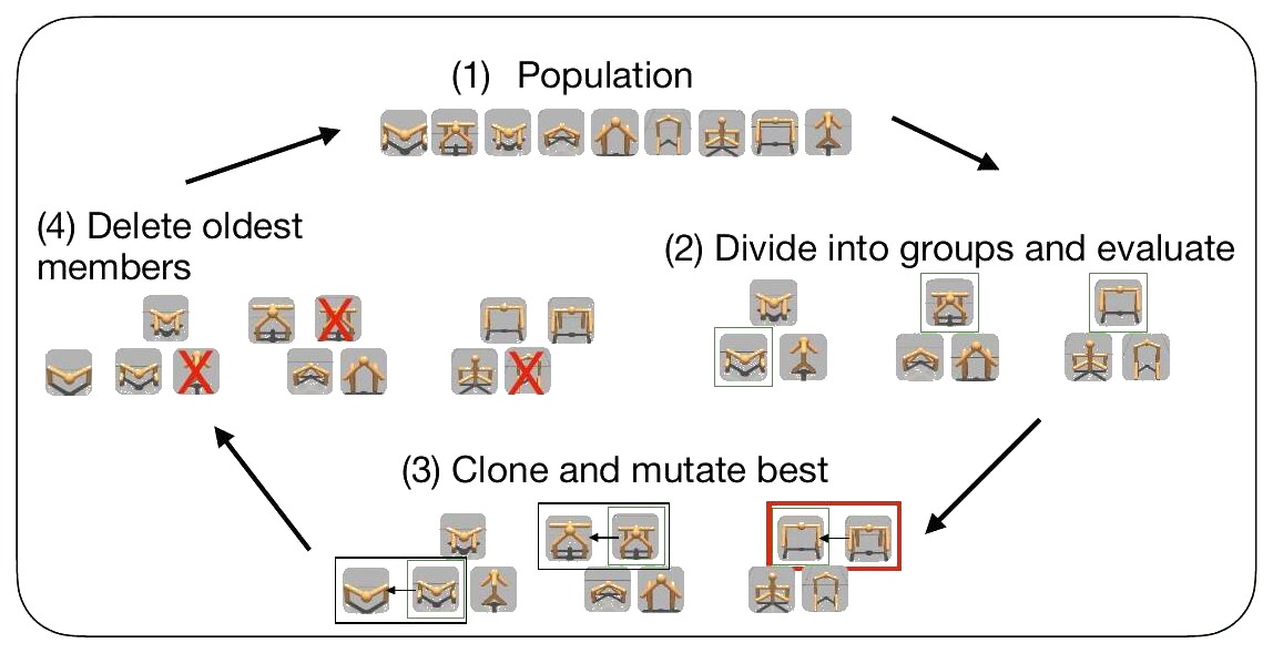 The evolution cycle: a population is divided into groups and evaluated, the best in each group is cloned and mutated, and the oldest members are deleted